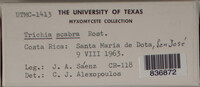 Image Associated With the Occurence